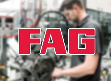 德國FAG軸承